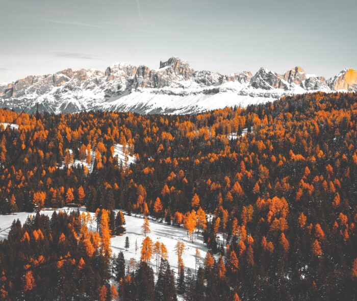 daniel-plan-478572-unsplash-min daniel-plan-478572-unsplash-min